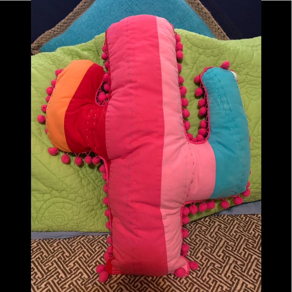 Hand made cactus novelty pillow